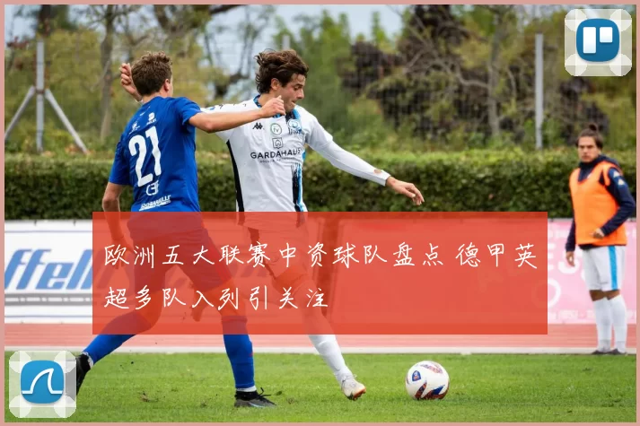 欧洲五大联赛中资球队盘点 德甲英超多队入列引关注