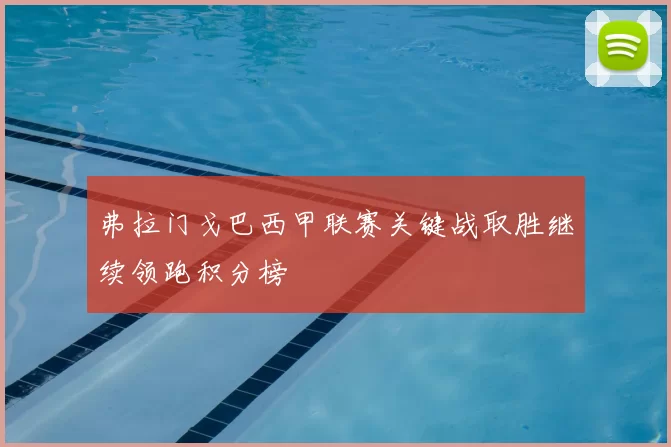 弗拉门戈巴西甲联赛关键战取胜继续领跑积分榜