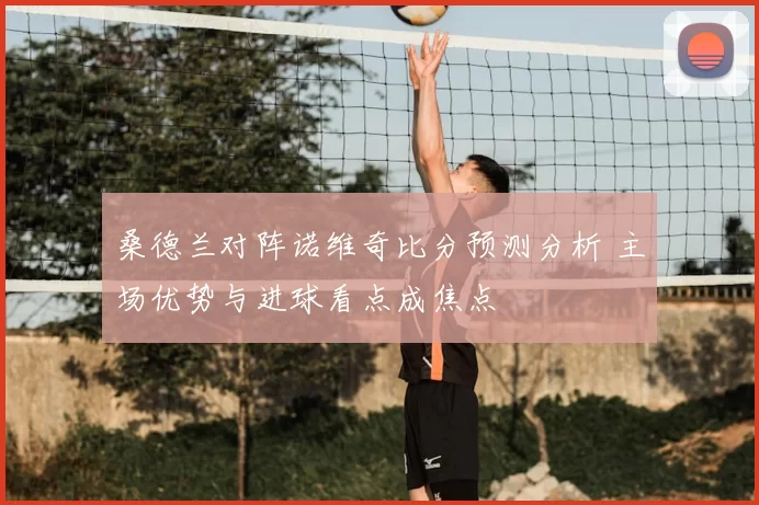 桑德兰对阵诺维奇比分预测分析 主场优势与进球看点成焦点