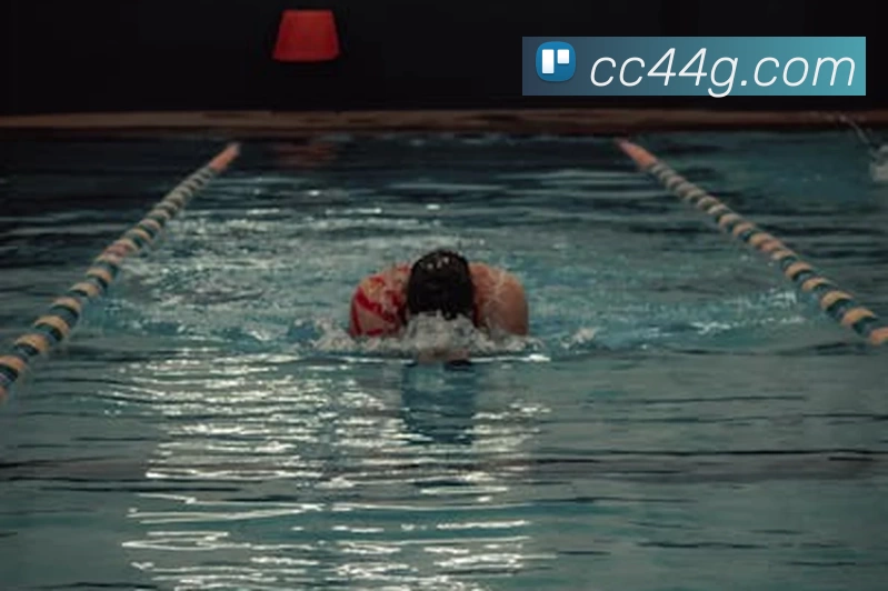 Bsports官方网站登录入口平台生态图