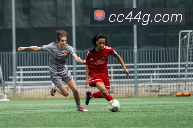 Bsports官方网站登录入口全站App Bsports官方网站登录入口全站App